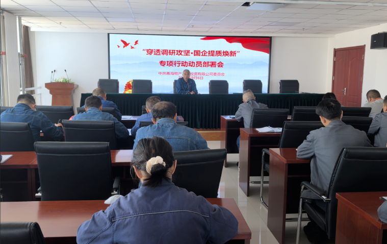 工投公司黨委召開“穿透調(diào)研攻堅·國企提質煥新”專項行動動員部署會