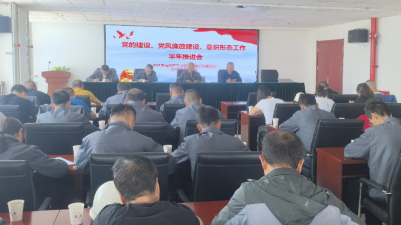 工投公司黨委召開黨的建設(shè)、黨風(fēng)廉政建設(shè)、意識形態(tài)工作半年推進(jìn)會