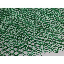 衡水三维植被网 泰安正泽工程材料直售 三维植被网垫